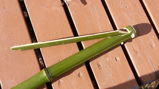 竹の細い棒でパーツを固定